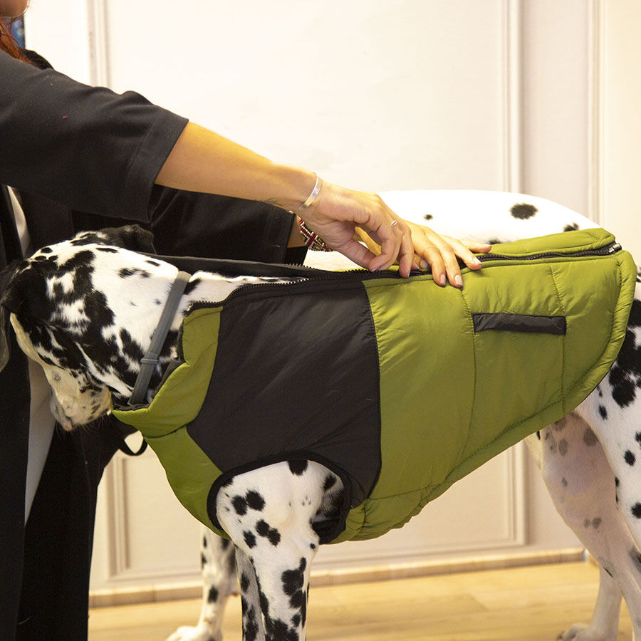 Outech White Mountain Abrigo para perros, , large Imagen numero 3